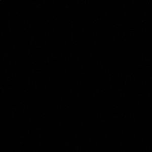 Meet your Posher, Elle